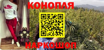 крисы Донской