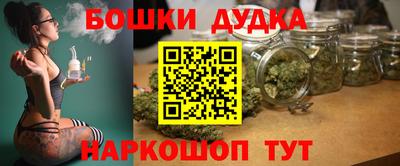 скорость Дубна