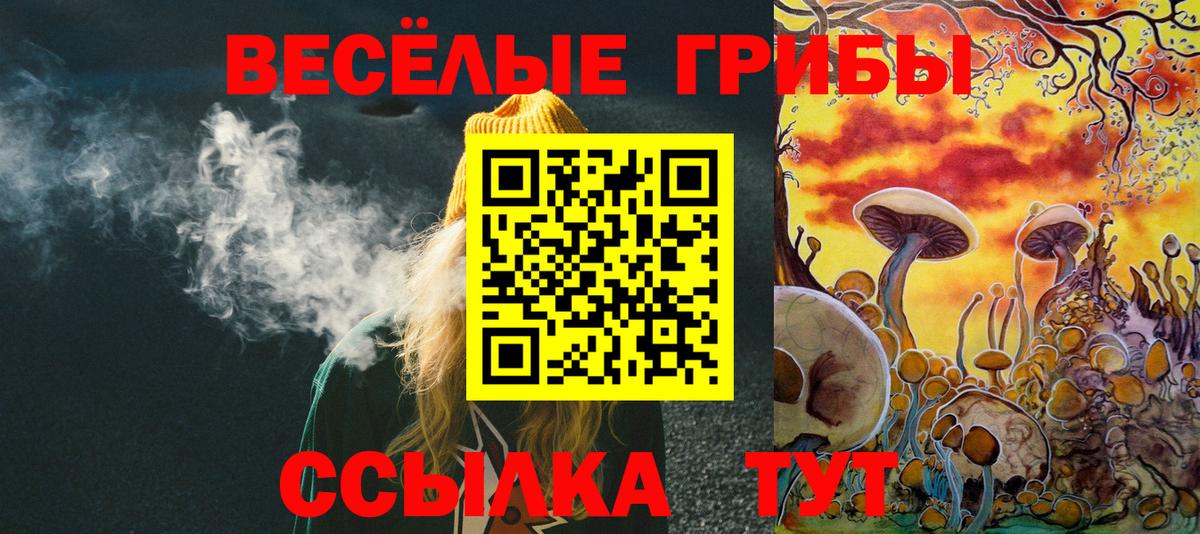Псилоцибиновые грибы Psilocybine cubensis Мелеуз