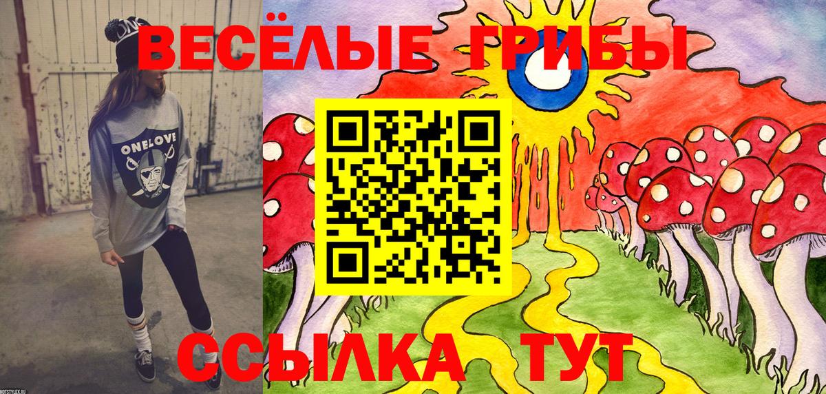 Мелеуз  Галлюциногенные грибы Psilocybe  Вход с VPN 